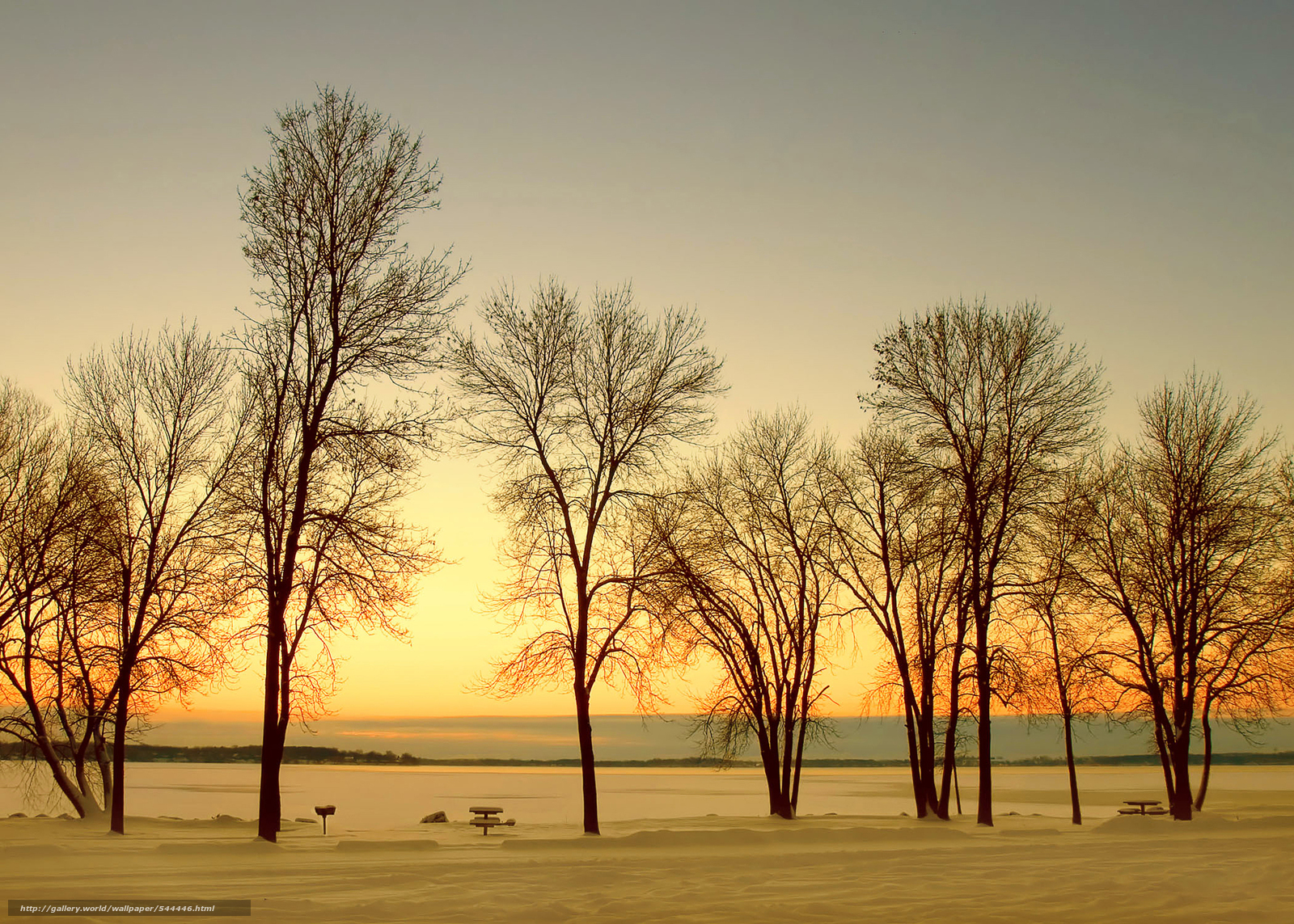 Download wallpaper sunset, winter, trees, landscape free desktop wallpaper in the resolution 2048x1463