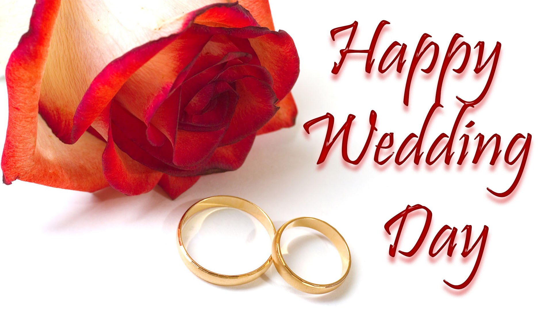 Wedding Day Wishes HD Image Wishes Image HD HD Wallpaper