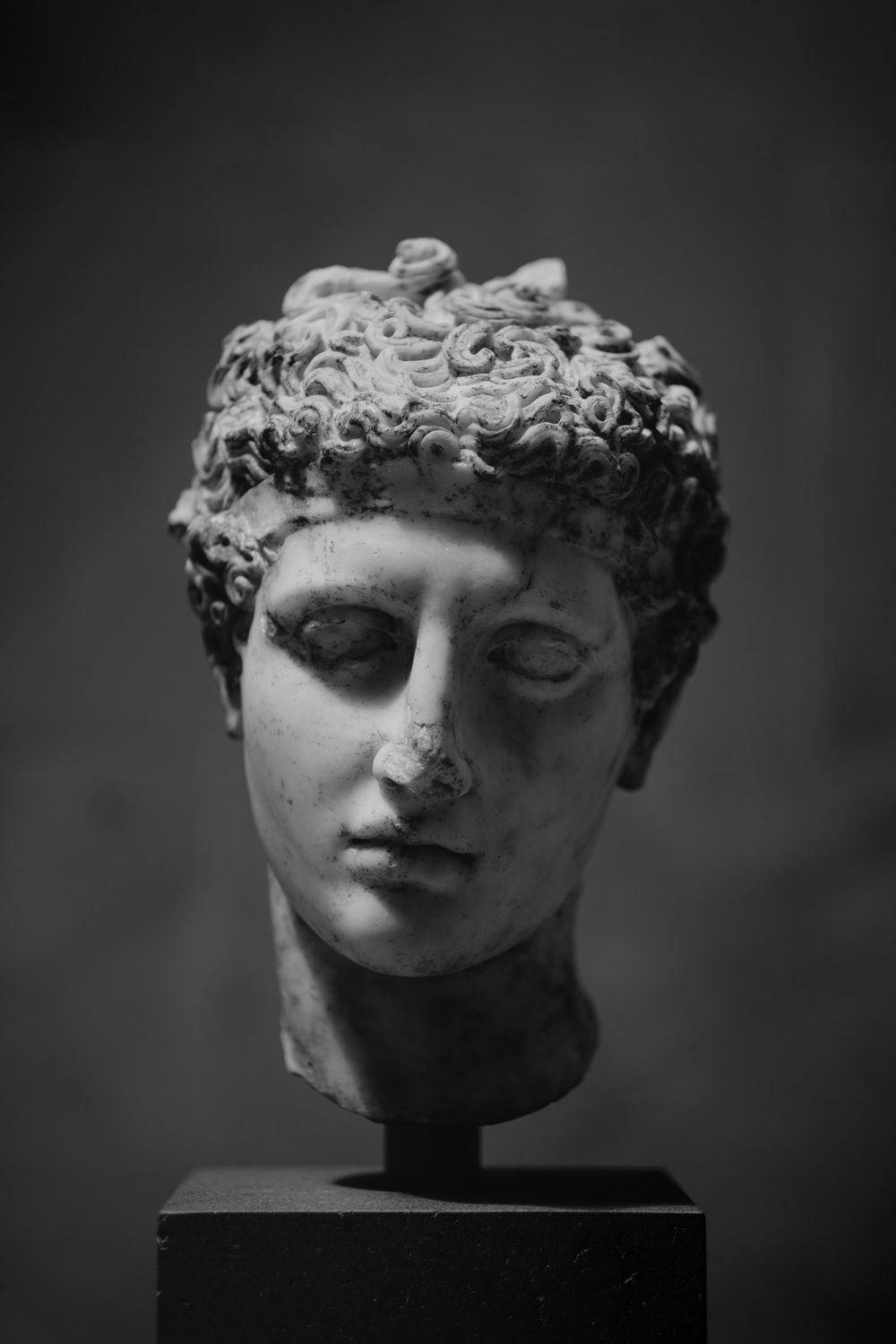 1K+ Roman Statue Picture. Download Free Image