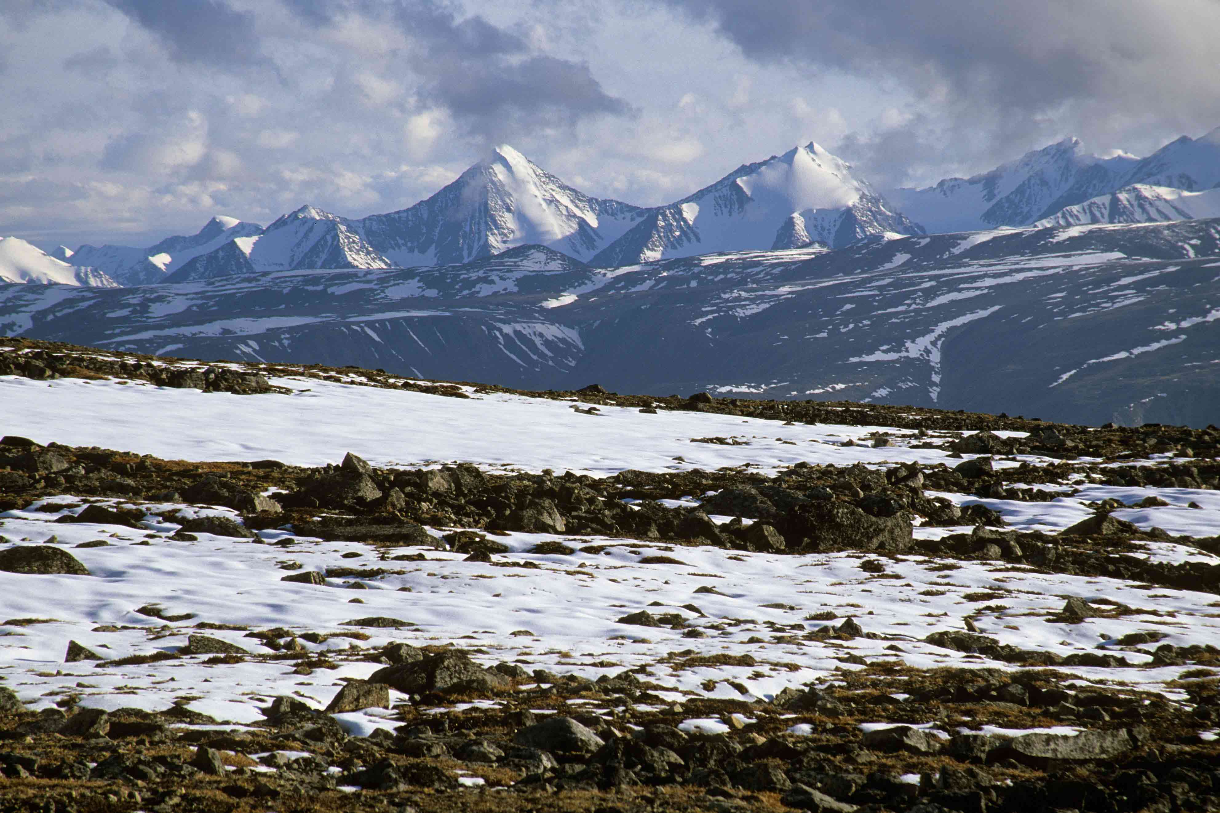 Tundra Landscape Wallpaper, HD Tundra Landscape Background on WallpaperBat