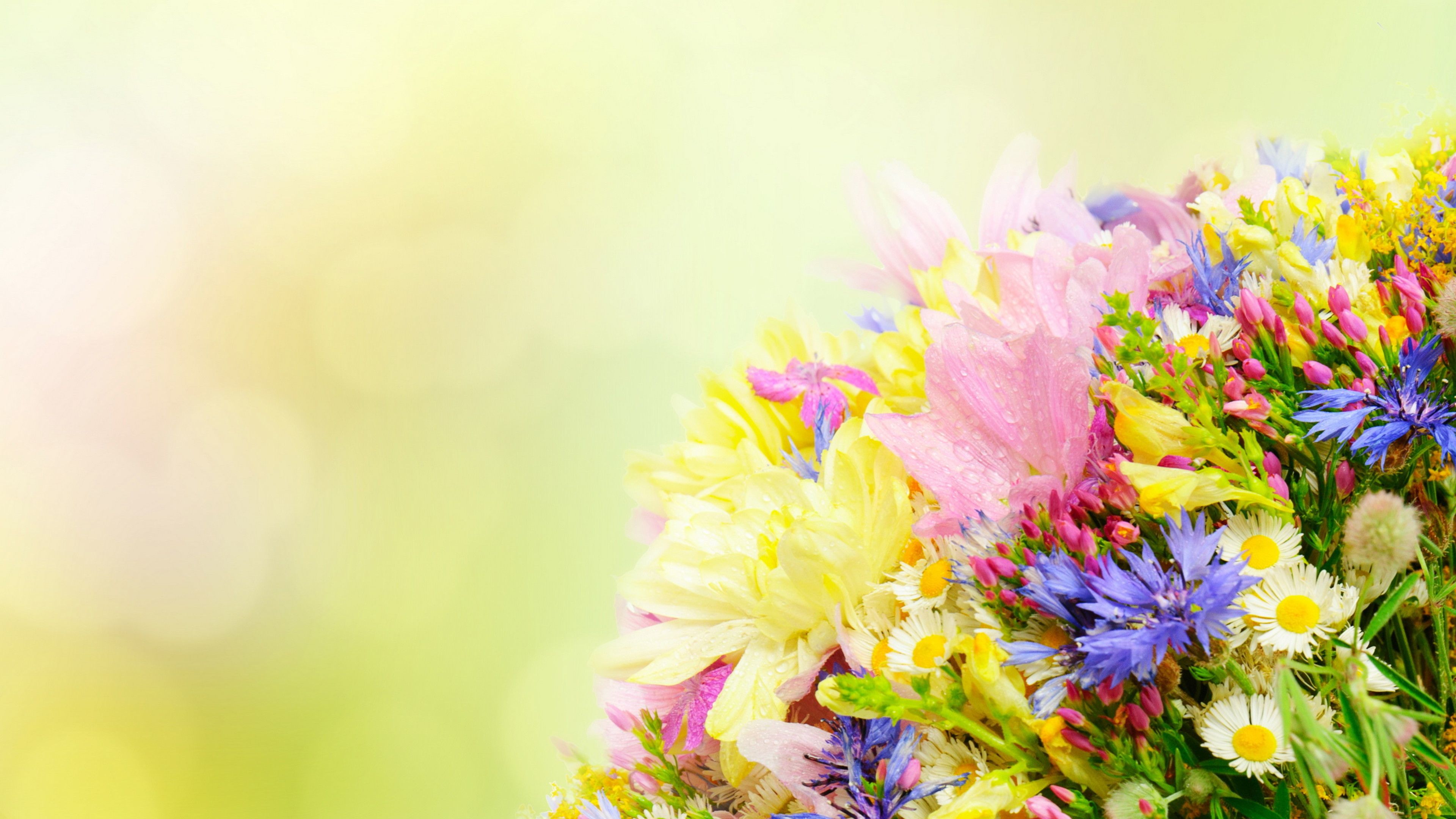 Spring Bouquet Wallpaper