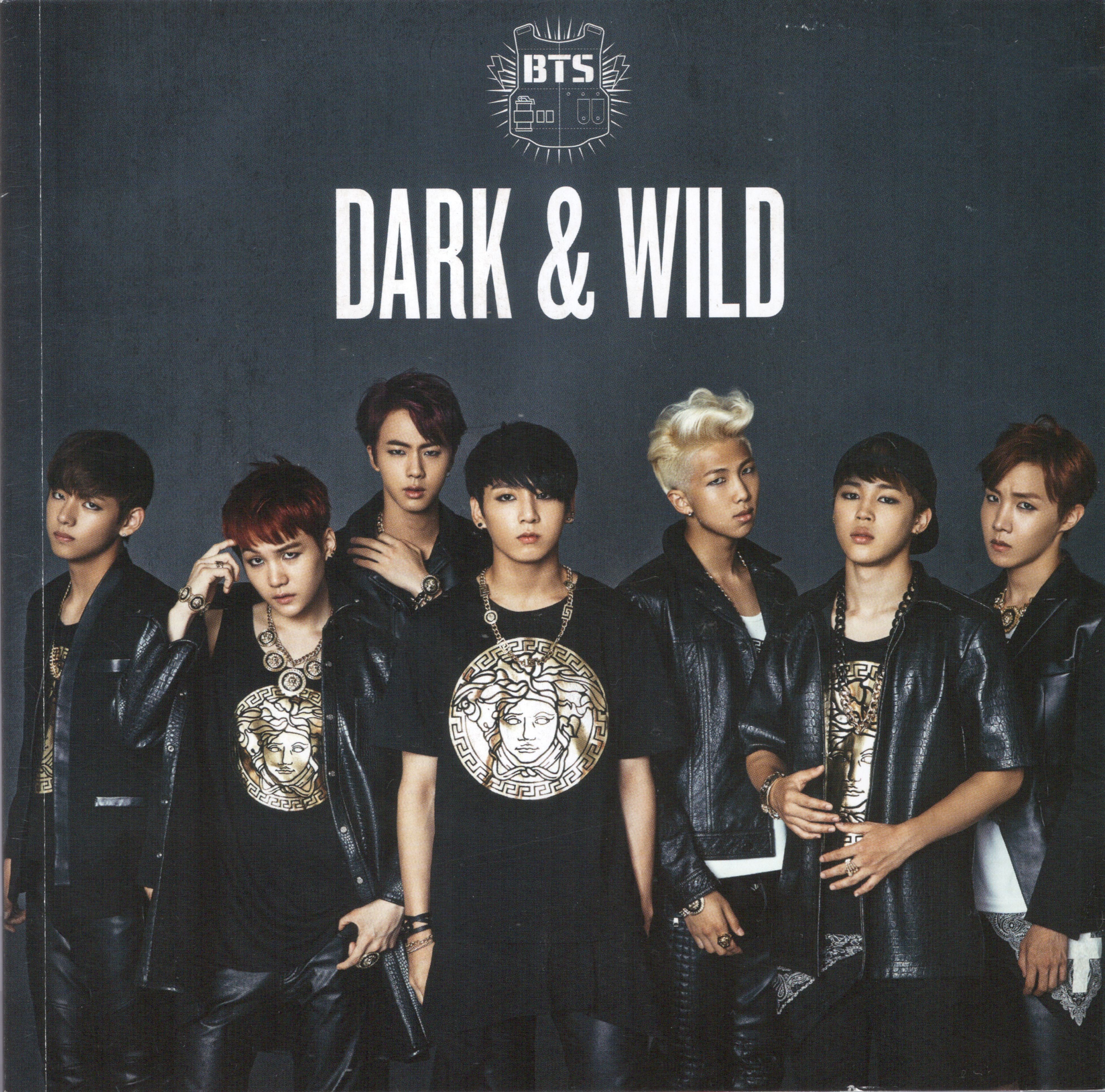 Слушать альбом втс. БТС 2014 год Dark Wild. Dark and Wild BTS album. Dark Wild BTS обложка. Альбомы BTS.