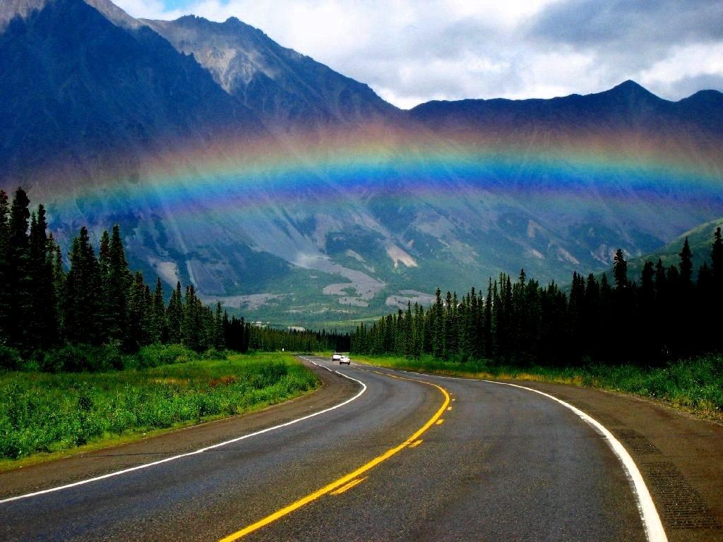Download wallpaper: road, , Rainbow, download photo, Forest, wallpaper for desktop