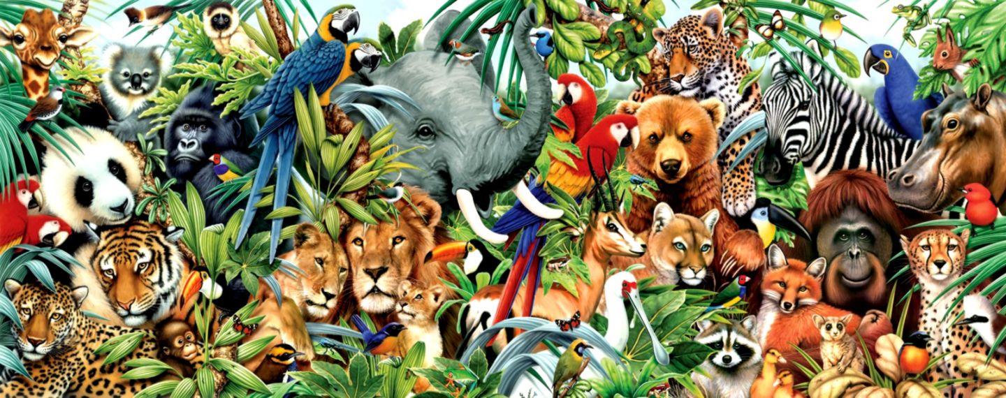 Jungle Animal Wallpaperafari
