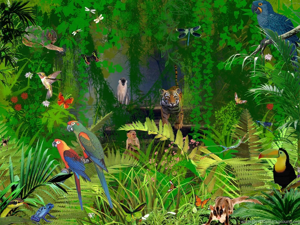 Jungle Wildlife Wallpaper Desktop Background