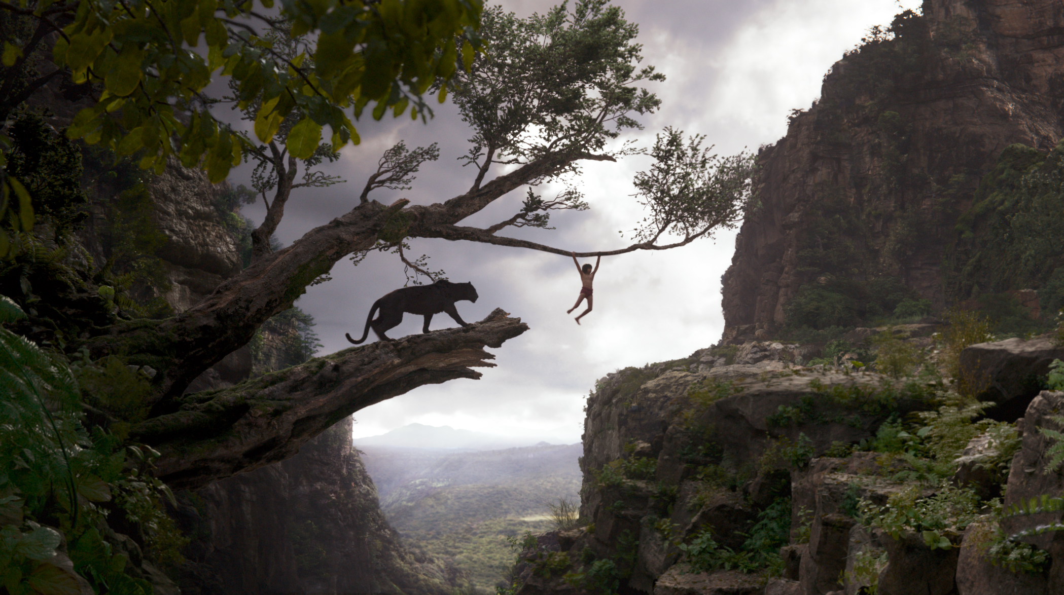 Mowgli and Bagheera Jungle Book Wallpaper