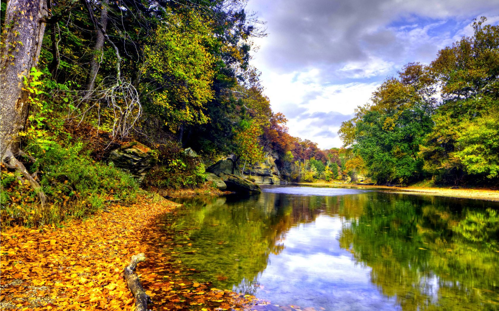 Landscape Autumn Mountain River Mirna Deciduous Forest In Autumn Colors Yellow Fallen Leaves Coast With Rocks And Tree Enclosed Sky With Gray Clouds Wallpaper HD 2880x1800, Wallpaper13.com