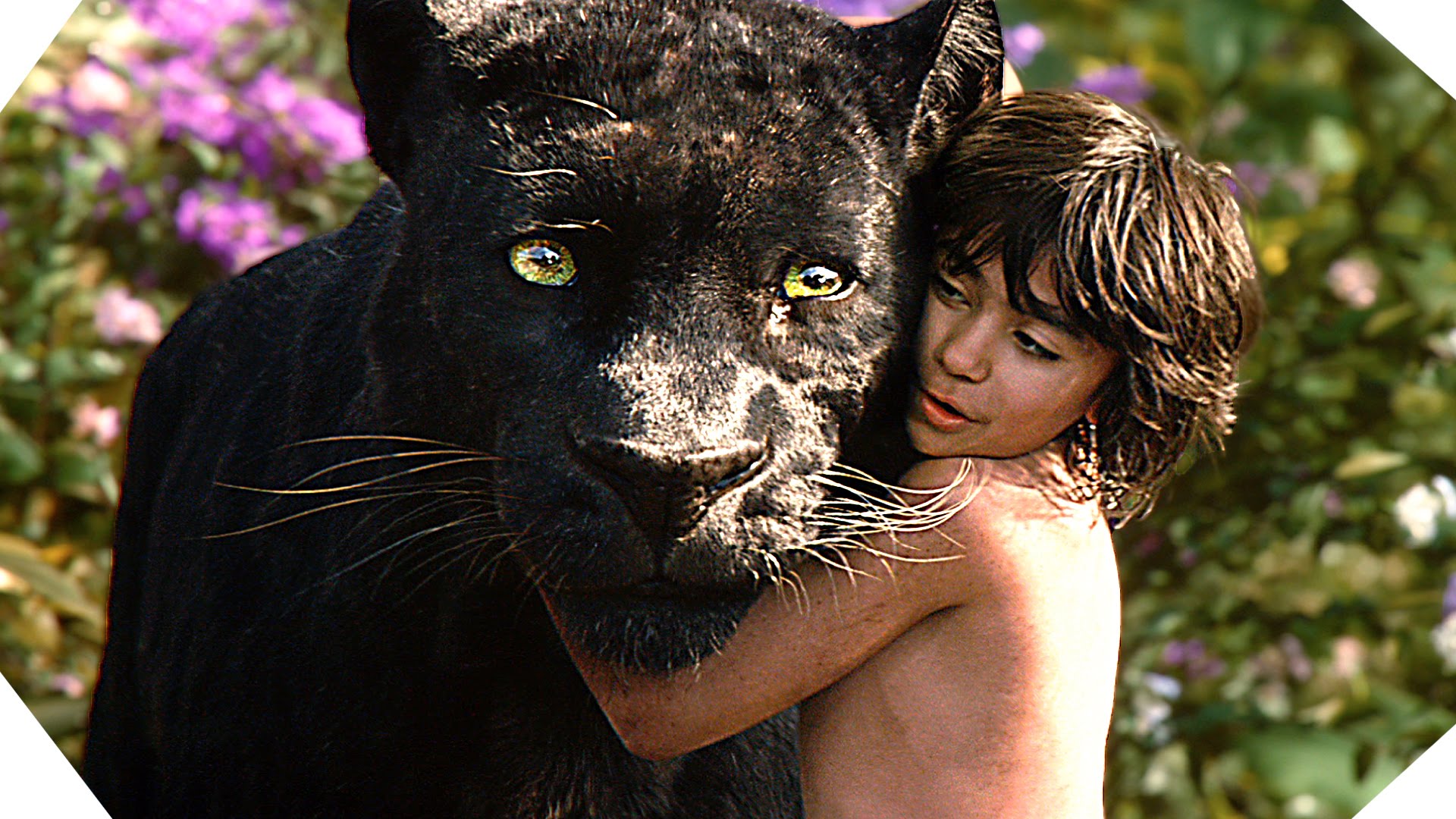 The Jungle Book Wide Wallpaper