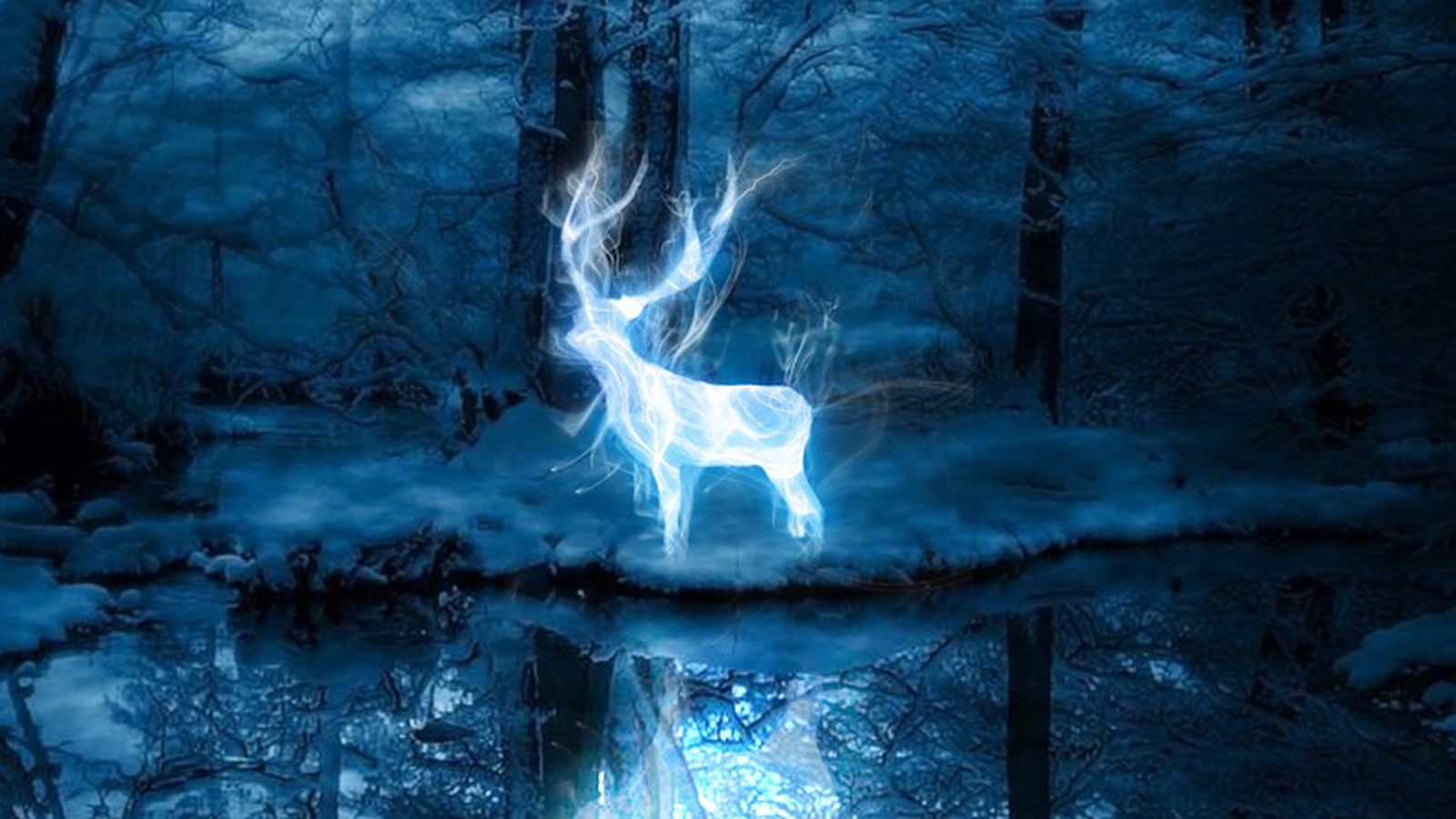 Take Pottermore's new Patronus quiz to find out if you're a dolphin, monkey, or mole?