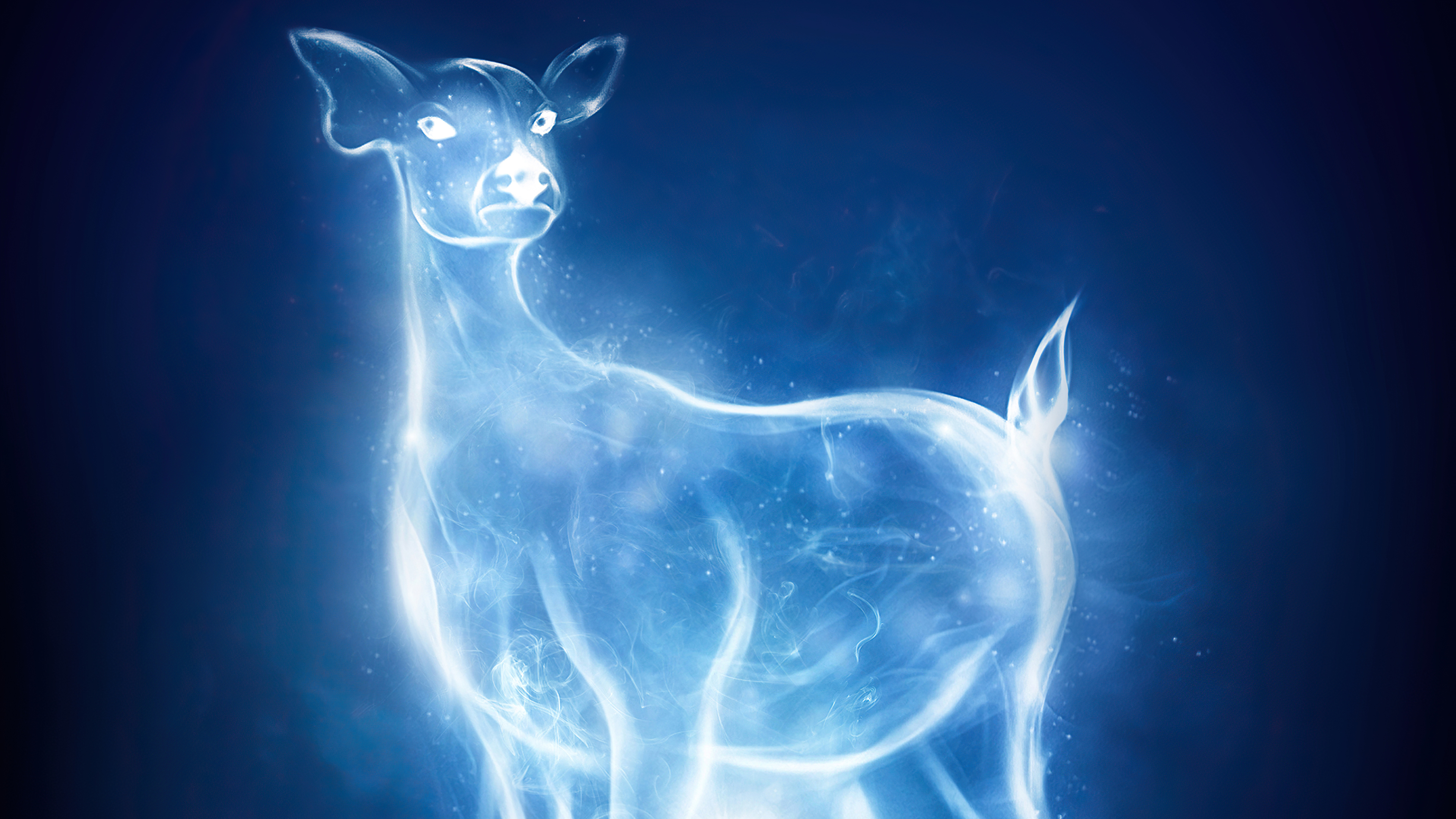 Patronus Charm Harry Potter And Fantastic Beasts, HD Movies, 4k Wallpaper, Image, Background, Photo and Picture