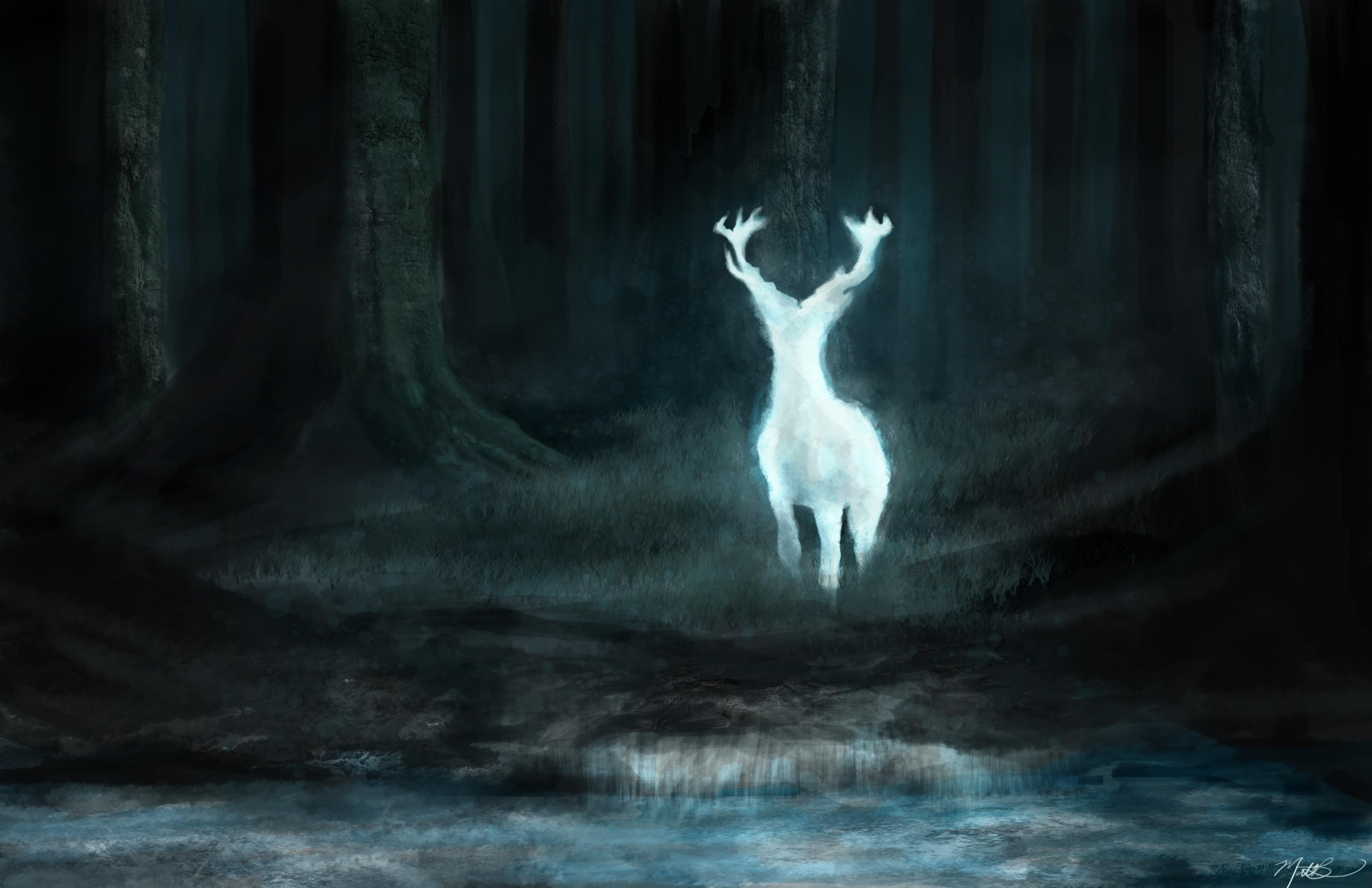 harry potter patronus iphone wallpaper