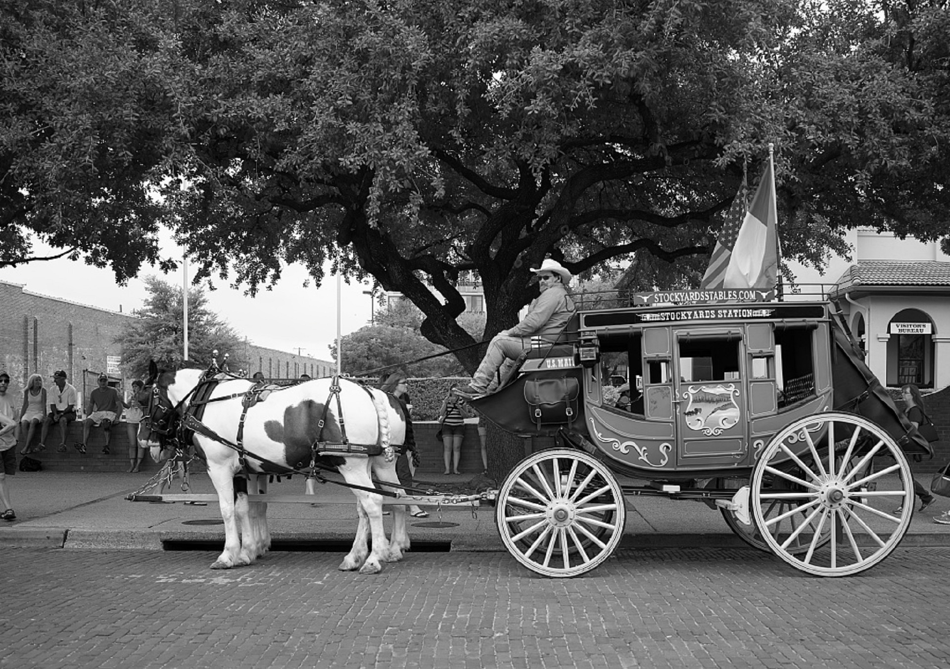 Download free photo of Stagecoach, black white, cowboys, horses, team