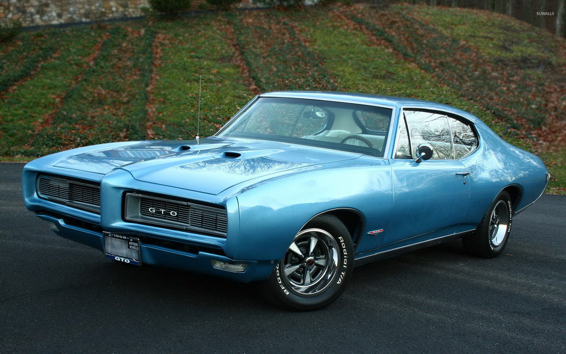 Pontiac GTO wallpaper wallpaper