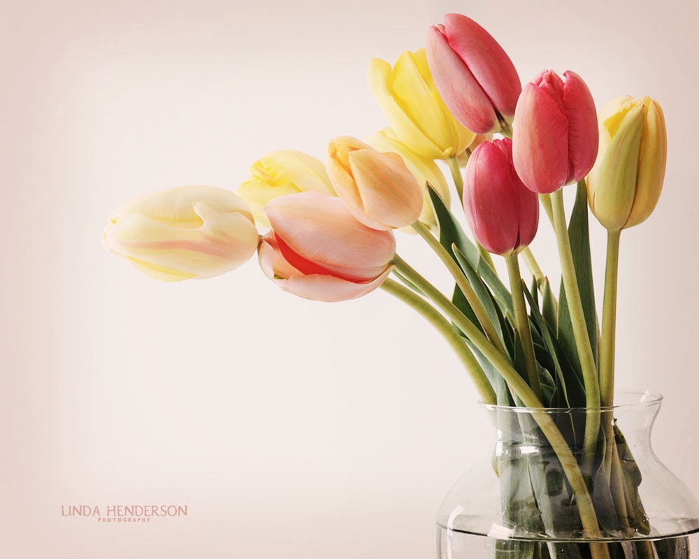 Beautiful Flower Wallpaper For You: Vase Of Flowers Wallpaper