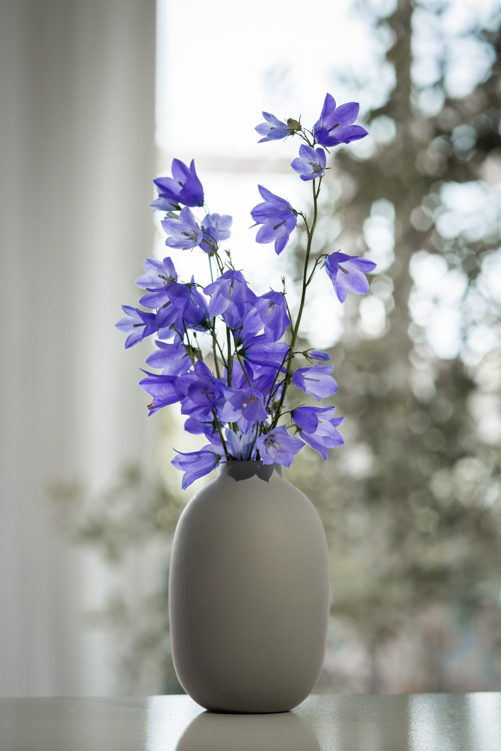 Flowers In A Vase Picture [HD]. Download Free Image
