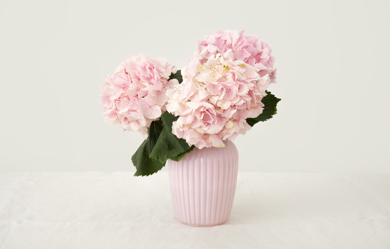 Wallpaper flowers, bouquet, pink, Flowers, Bouquet, Vase image for desktop, section цветы