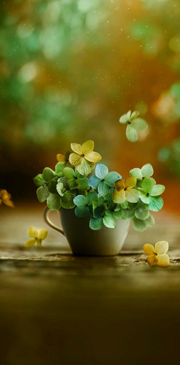 Flowers in vase wallpaper