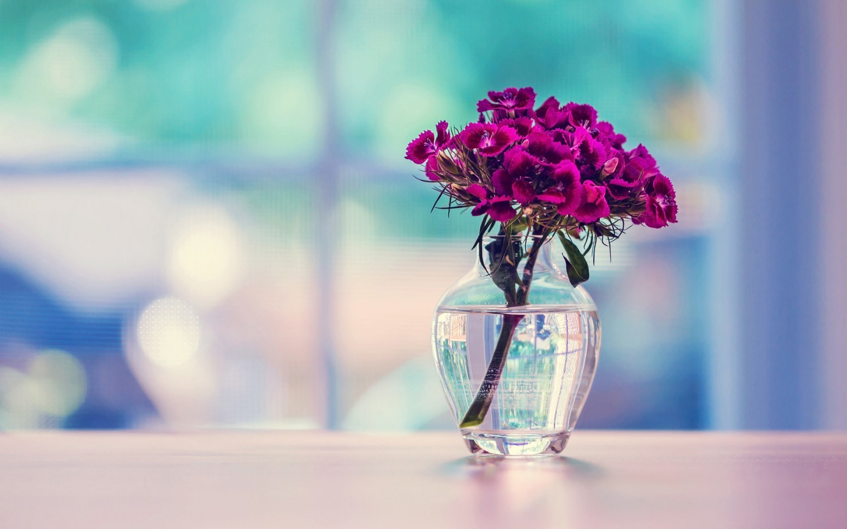 Beautiful Flowers Vase wallpaperx1050