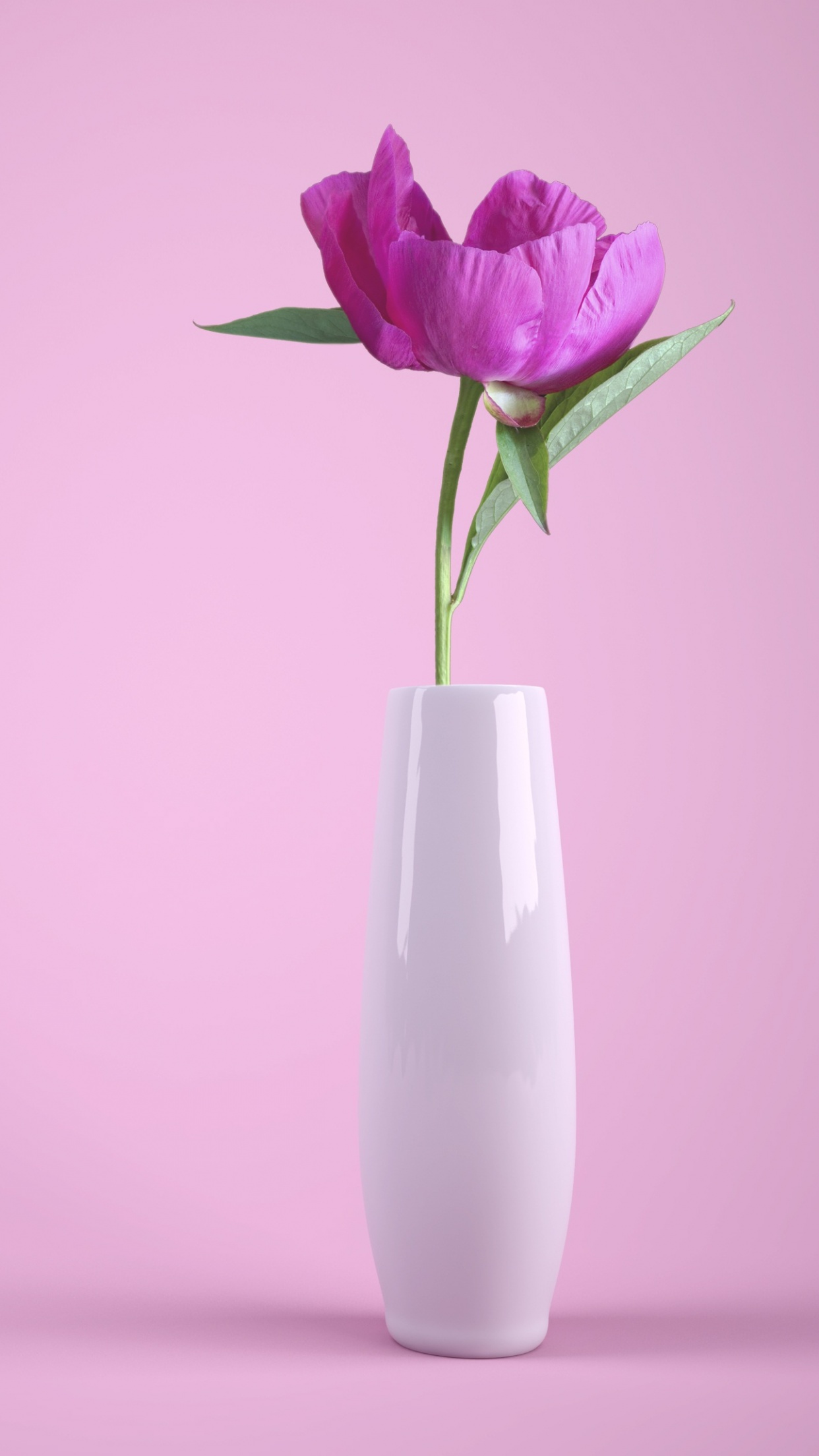 Pink flower Wallpaper 4K, Flower vase