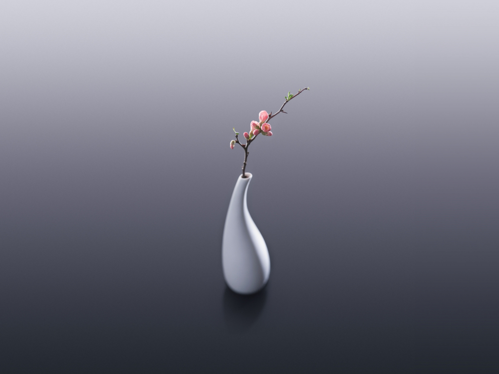 Wallpaper flowers, vase, minimal desktop wallpaper, HD image, picture, background, 2d4294