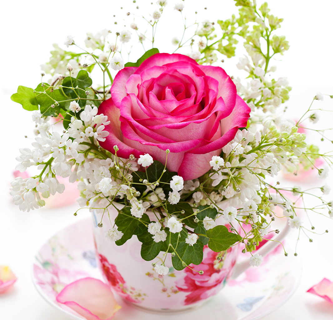 image Roses flower Vase