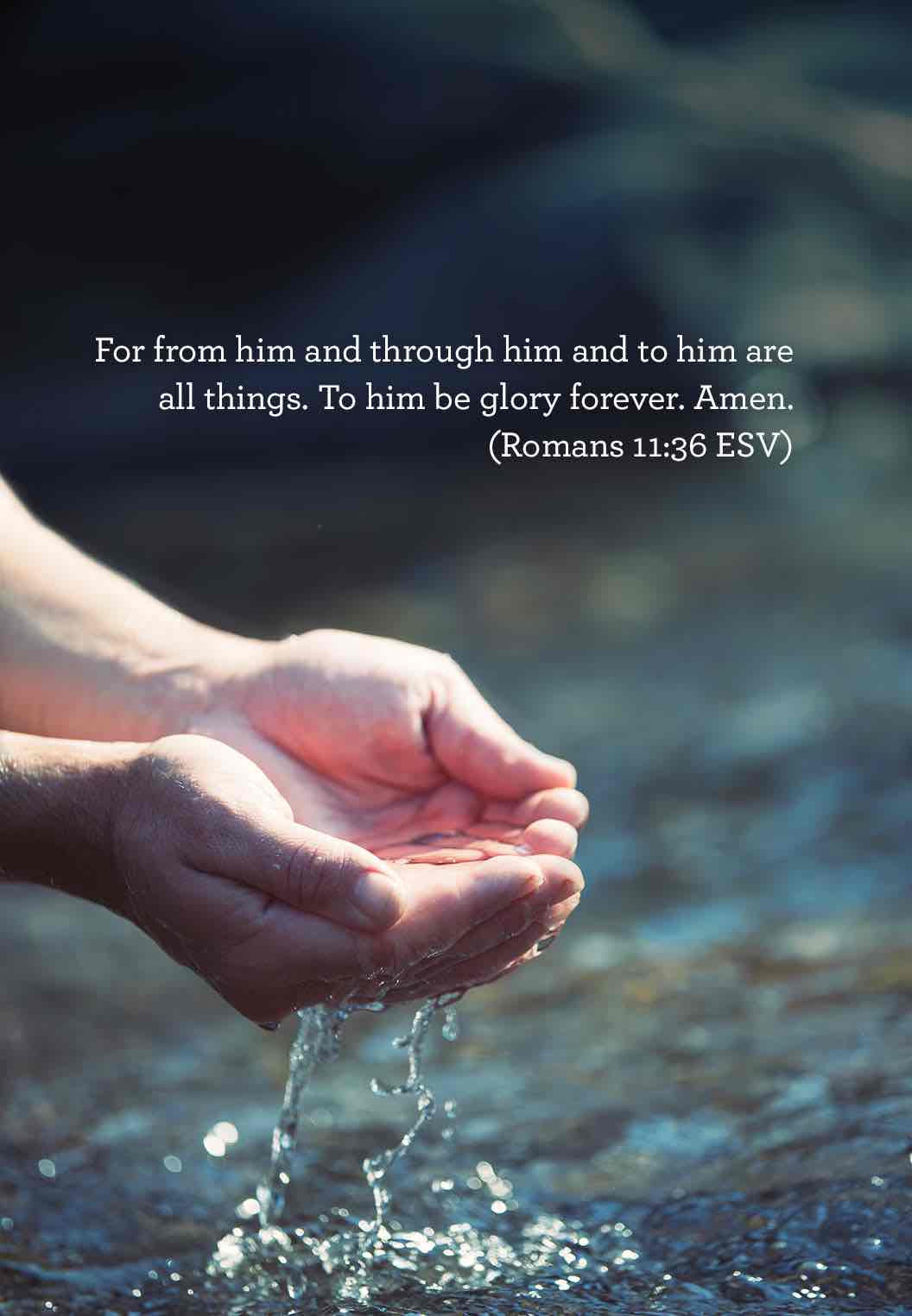 From Him Through Him and To Him are All Things