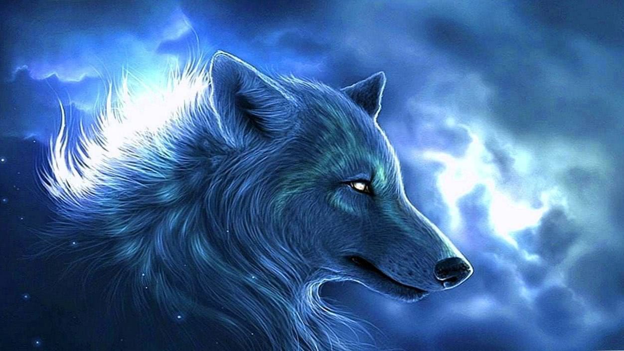 Anime Galaxy Wolf Wallpapers on WallpaperDog