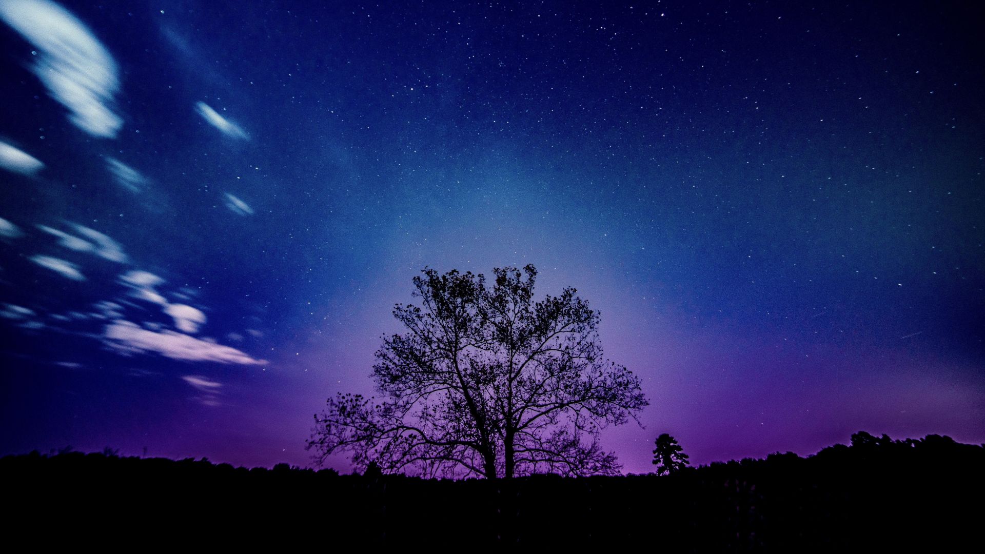 Tree, galaxy, sky, silhouette wallpaper, HD image, picture, background, b4eb7a