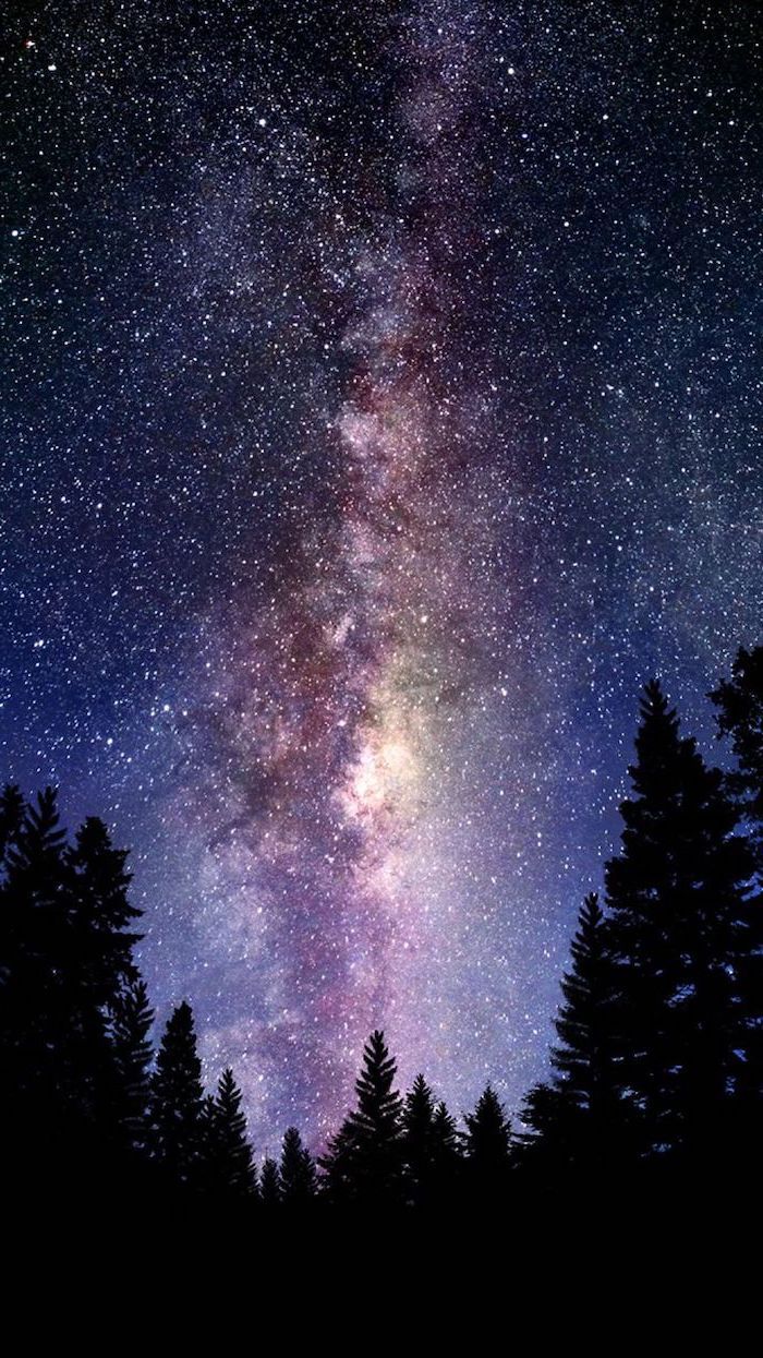 Tall Trees Forest Landscape Galaxy Wallpaper 4k Star Filled Sky Above The Trees. Night Sky Wallpaper, Galaxy Painting, Galaxy Wallpaper Iphone