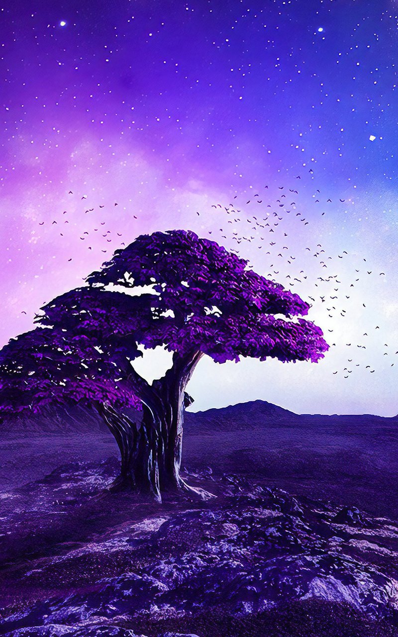 Purple Tree Stories Nexus Samsung Galaxy Tab Note Android Tablets HD 4k Wallpaper, Image, Background, Photo and Picture