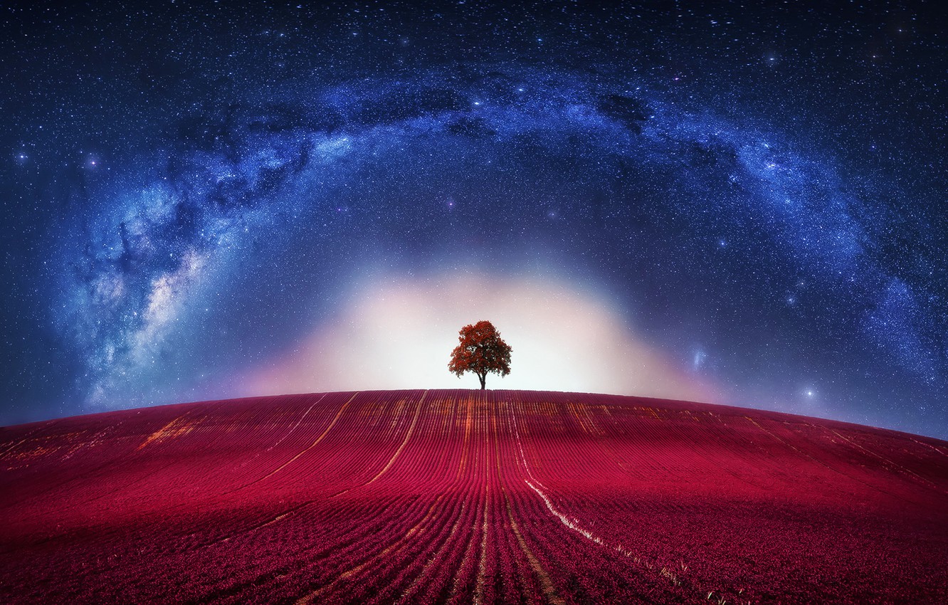 Wallpaper Fantasy, Avatar, Clouds, Loneliness, Horizon, Tree, Galaxy, Lone, Way, Milky, Lonely image for desktop, section пейзажи