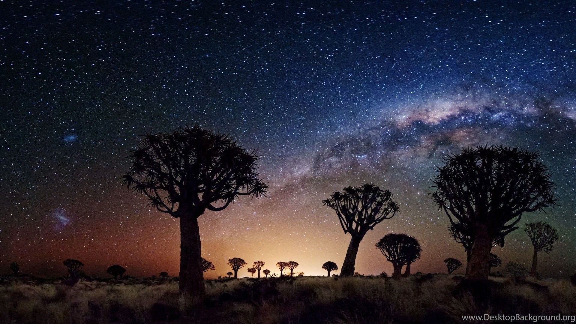 Trees Galaxy Milky Way Stars Sky Desert Wallpaper Desktop Background