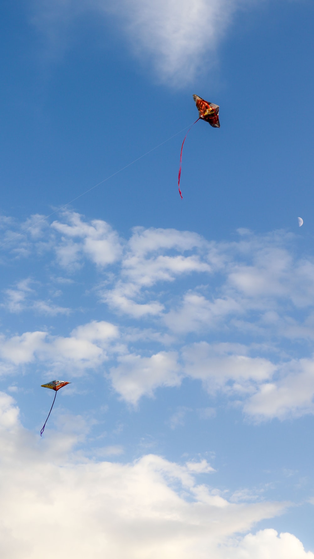 red kite flying in the sky during daytime photo