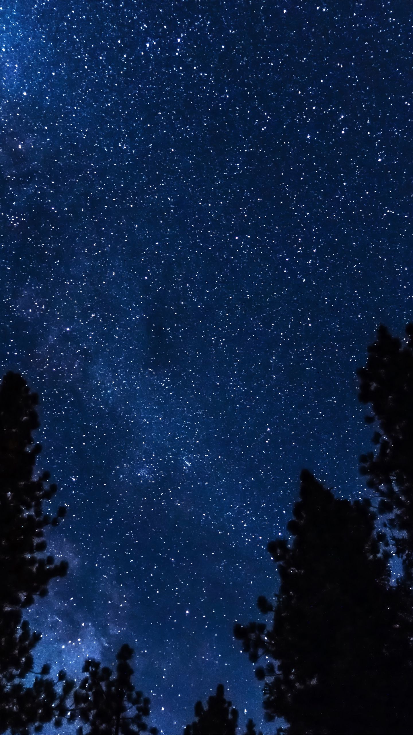 Download wallpaper 1440x2560 trees, stars, starry sky, night qhd samsung galaxy s s edge, note, lg g4 HD background