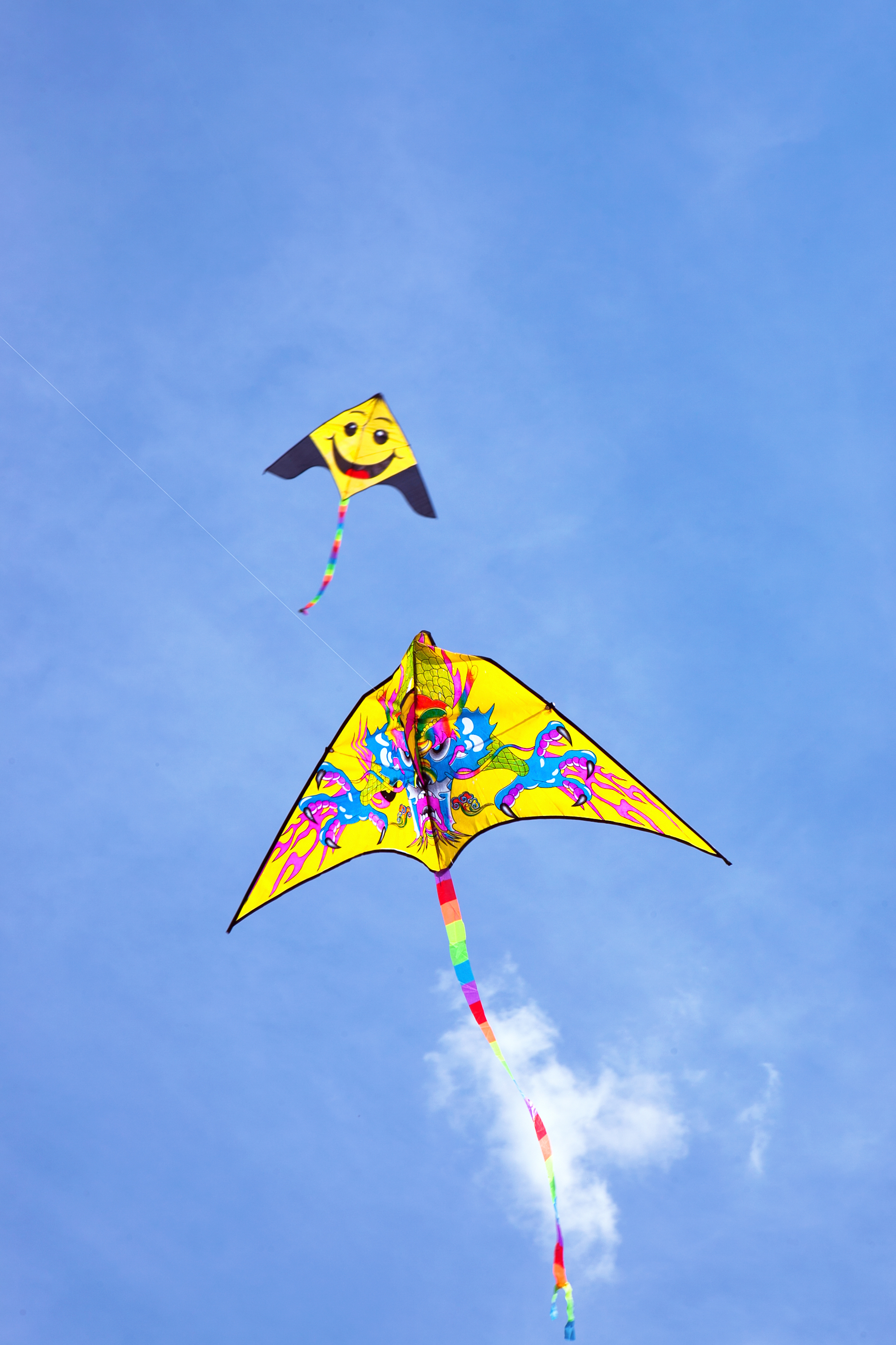 Free photo: kite flying, Blue, Fly