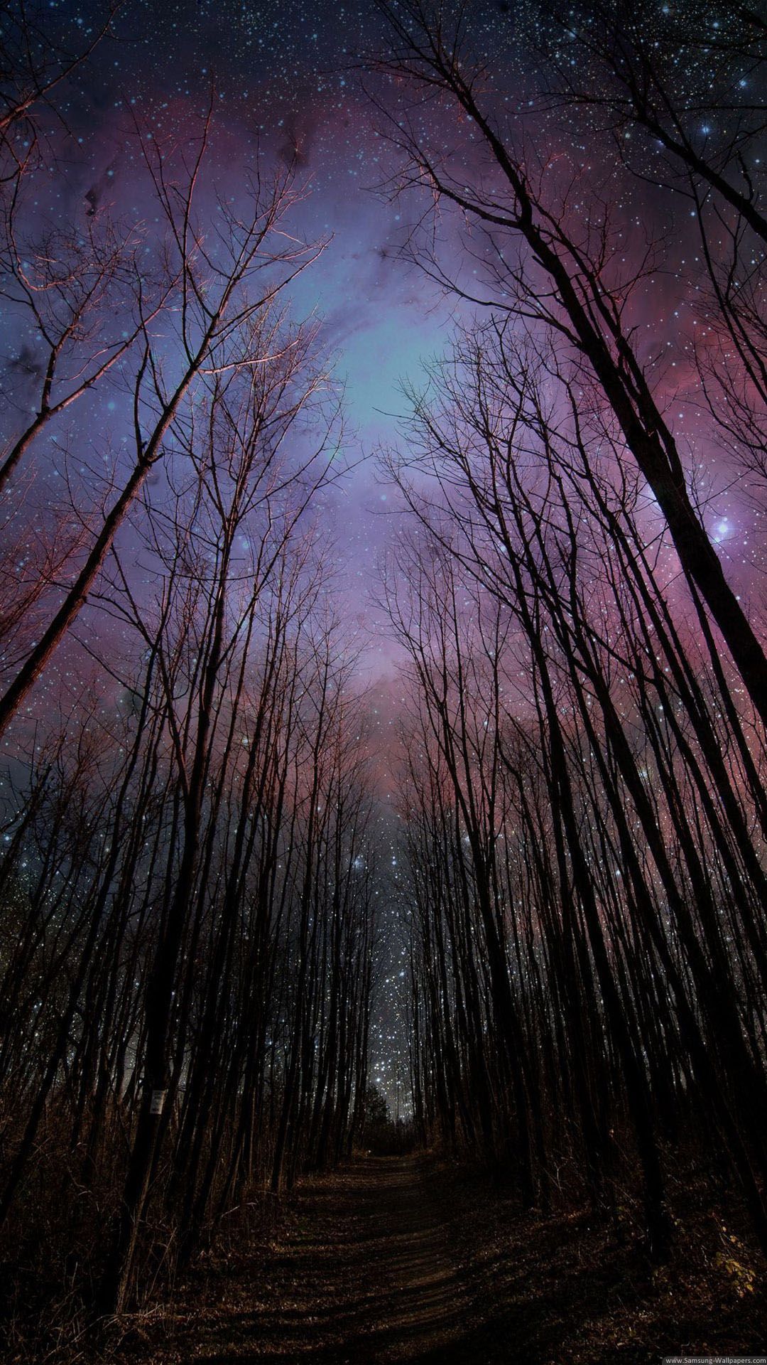 Forest Galaxy Wallpaper Free Forest Galaxy Background