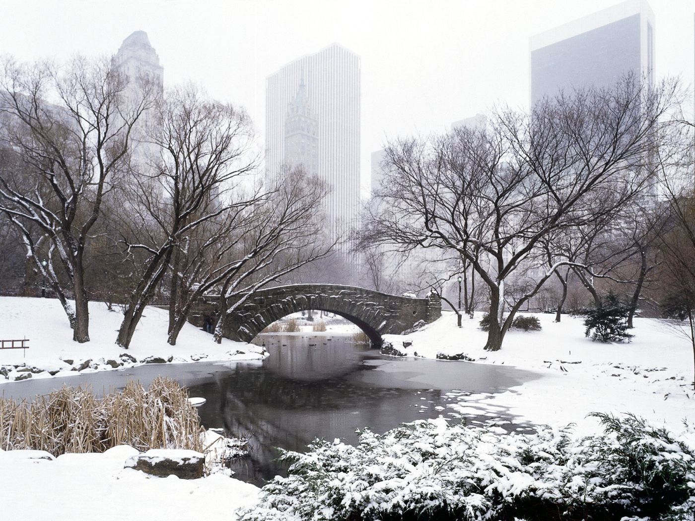 New York Is Truly Magical Covered In Snow. New york tourist attractions, New york attractions, New york winter