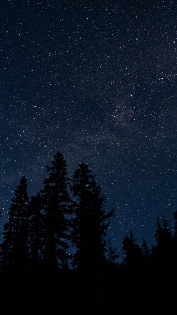 starry sky, trees, night, radi Galaxy s3 wallpaper