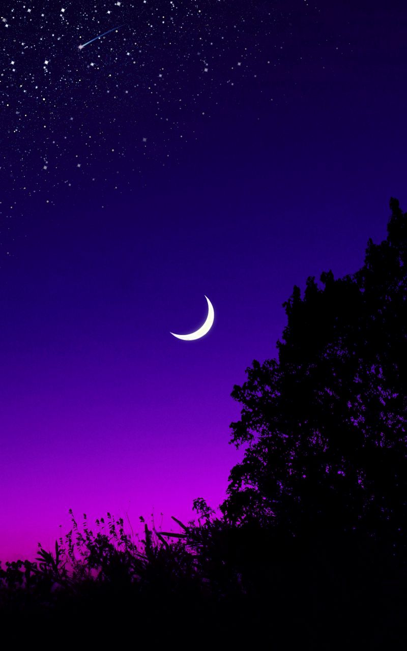 Download Wallpaper 800x1280 Moon, Tree, Starry Sky, Night, Stars, Dark Samsung Galaxy Note Gt N Meizu Mx2 HD Background