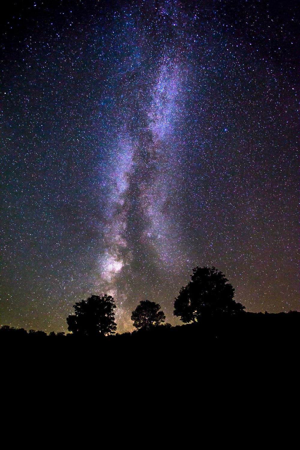 silhouette of trees under milky way galaxy photo