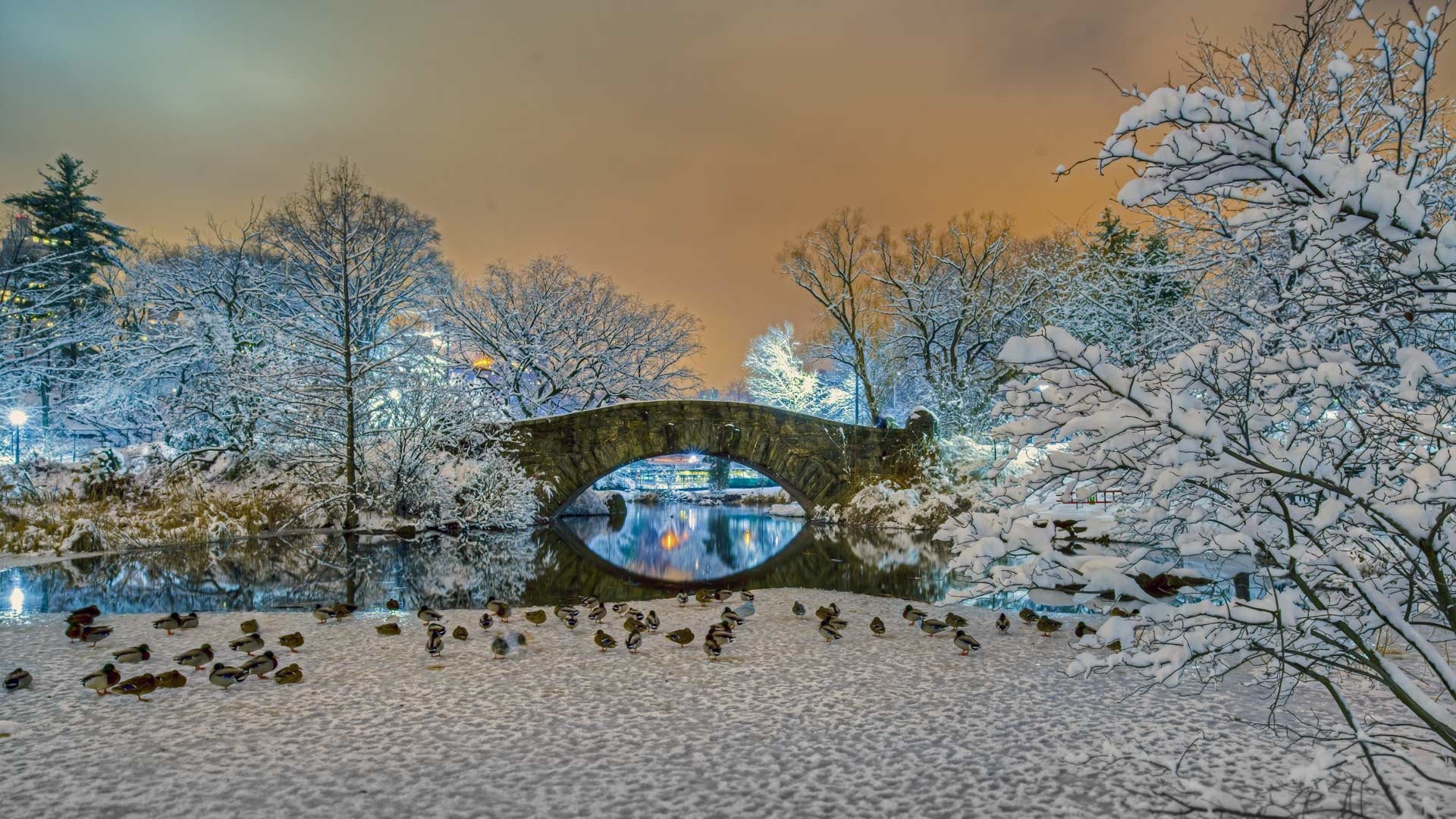 Winter Gapstow Bridge Central Park