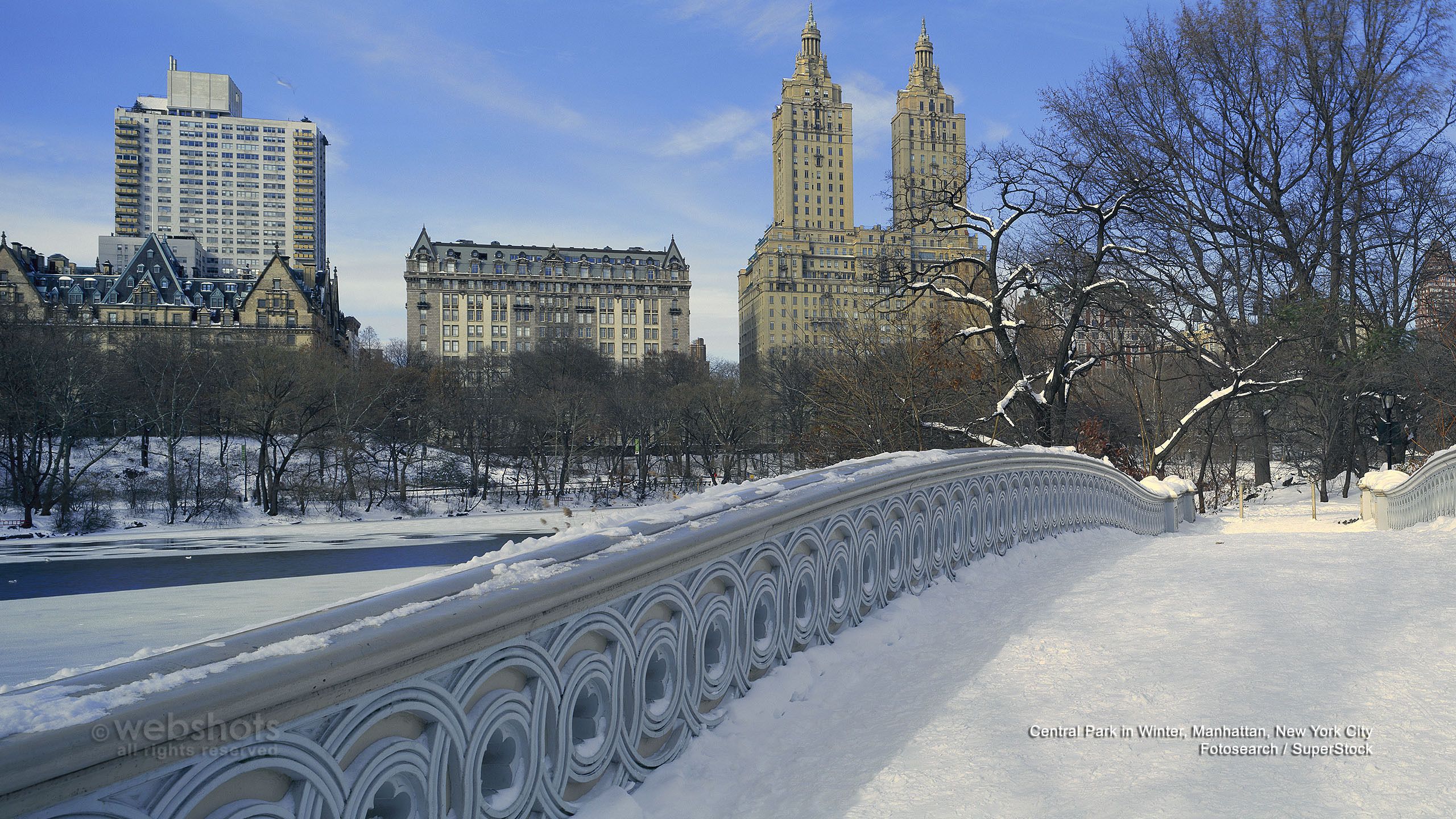 Central Park in Winter, Manhattan, New York City. New york winter, New york city, Winter scenes