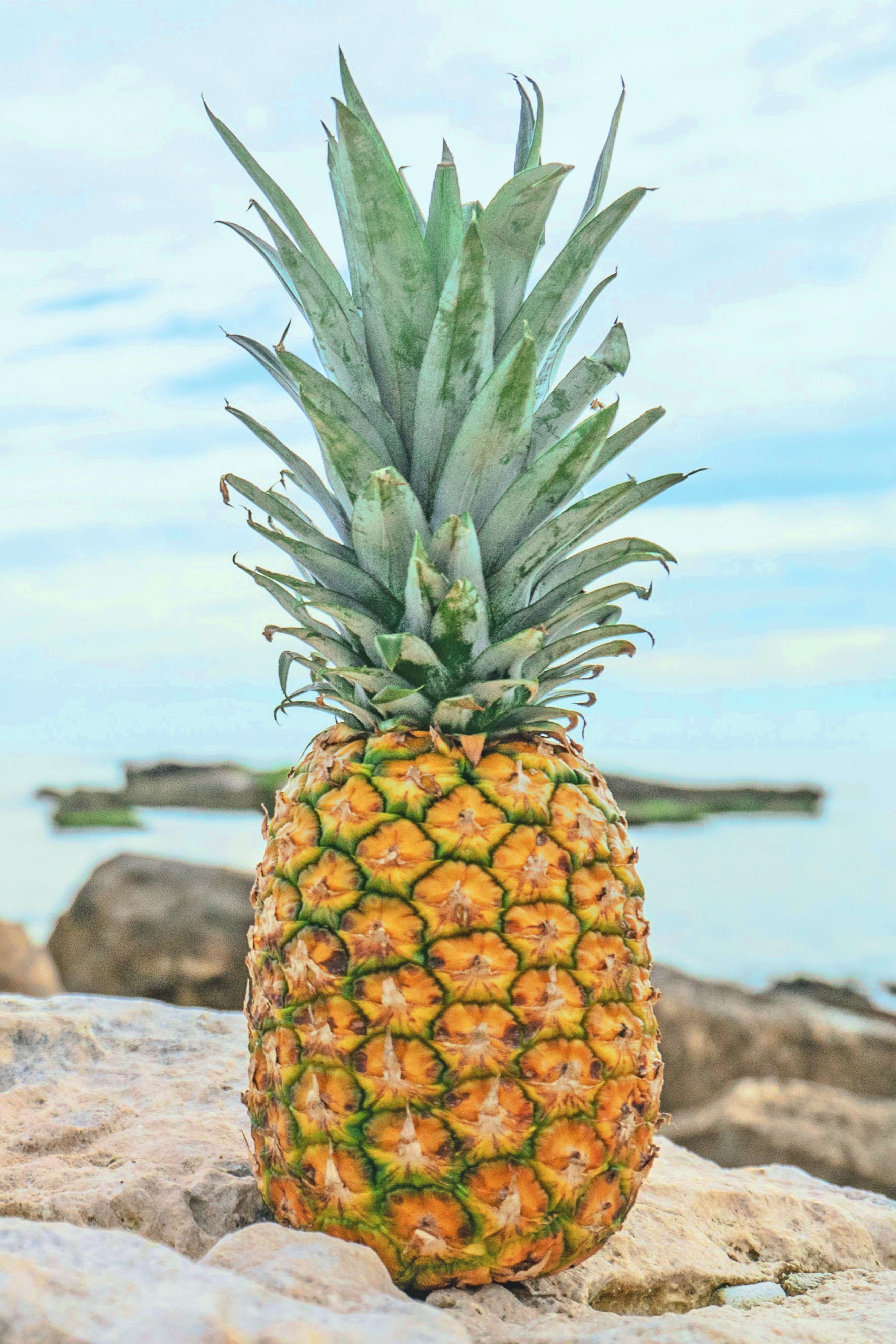 Pineapple is great for your hair!. Pineapple photography, Pineapple picture, Pineapple wallpaper