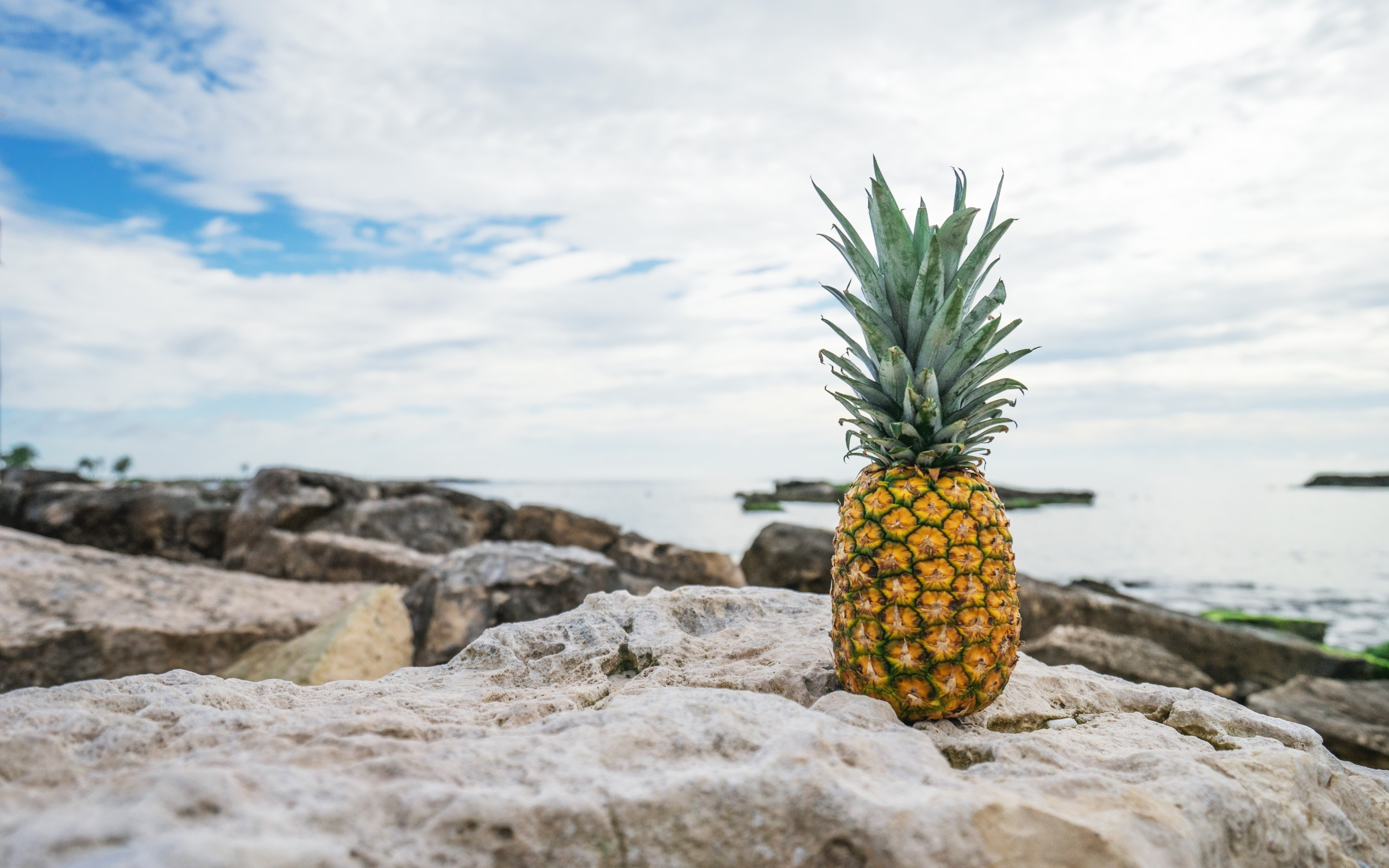 Download 2880x1800 Pineapple, Fruit, Rocks, Ocean Wallpaper for MacBook Pro 15 inch