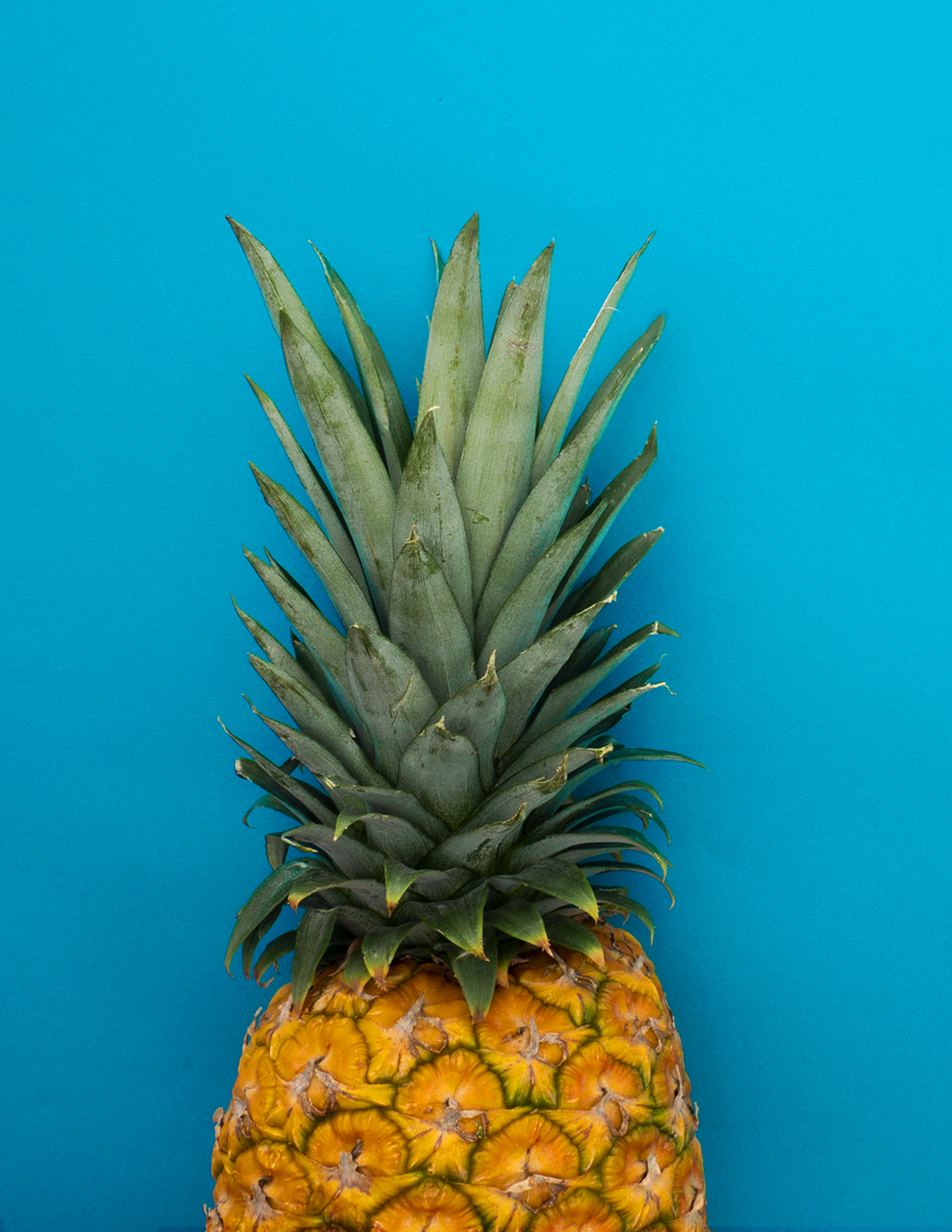 Pineapple Fruit on Blue Background · Free