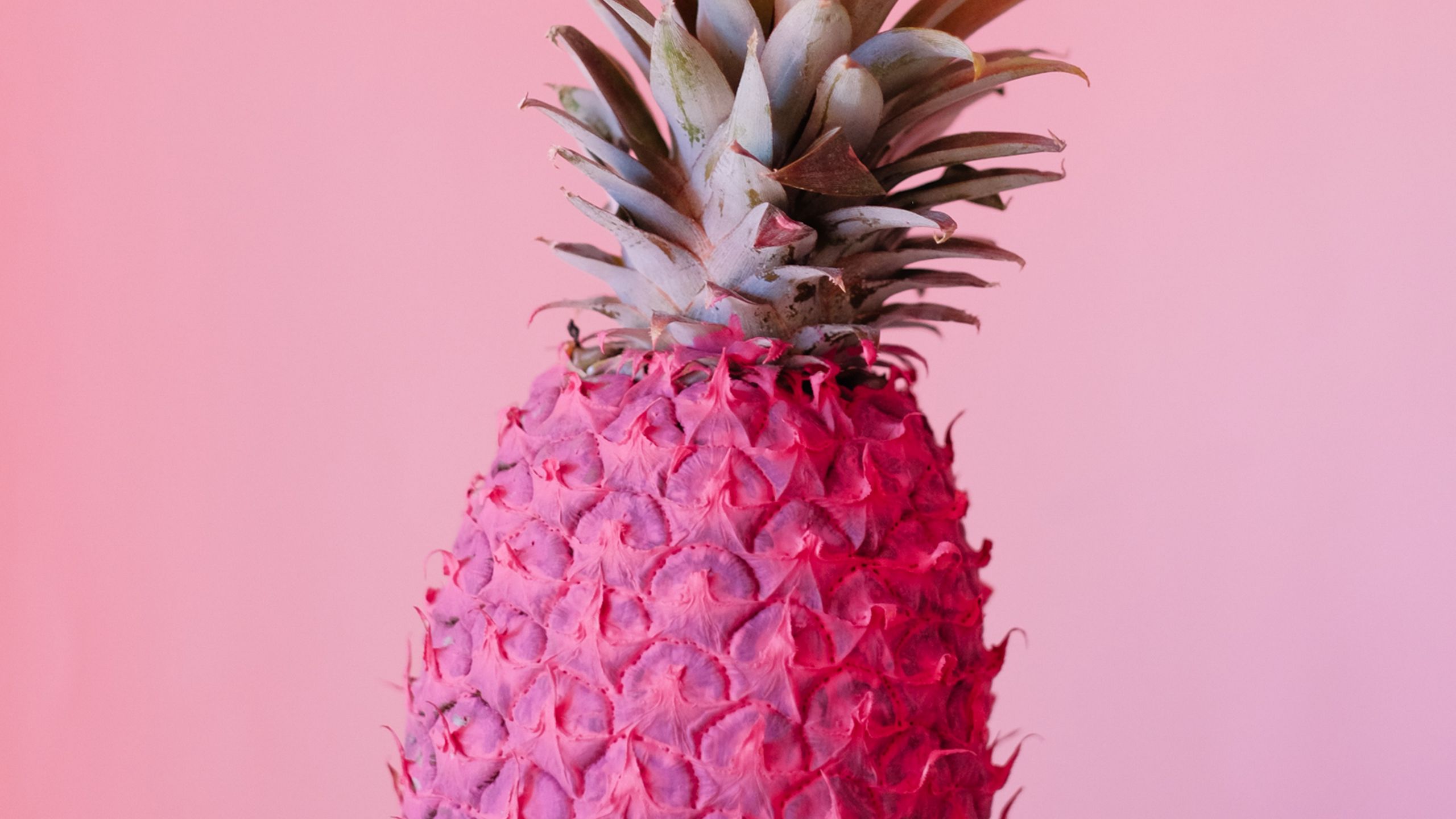 Download wallpaper 2560x1440 pineapple, fruit, pink, paint, tropical widescreen 16:9 HD background