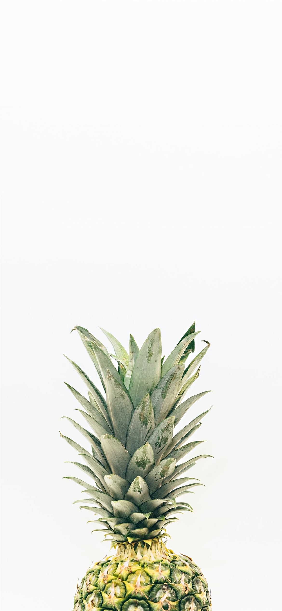 pineapple fruit iPhone 12 Wallpaper Free Download