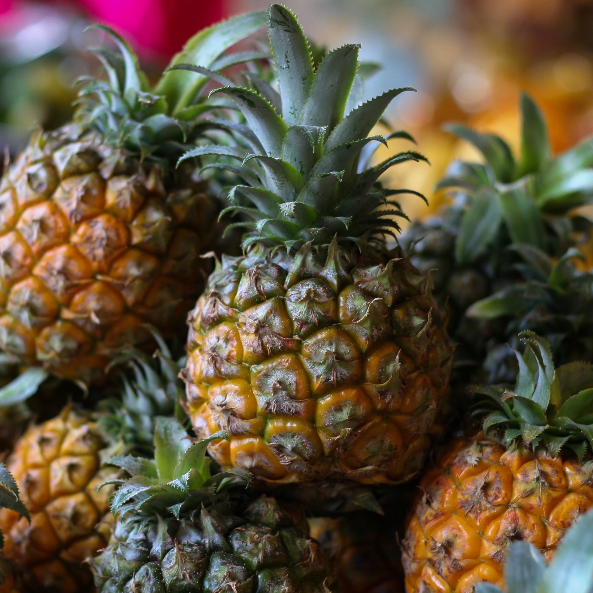 Pineapple Fruit Market iPad Air Wallpaper Free Download