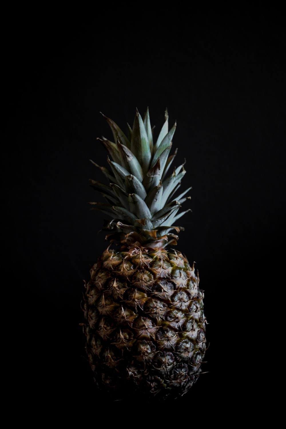 pineapple fruit photo