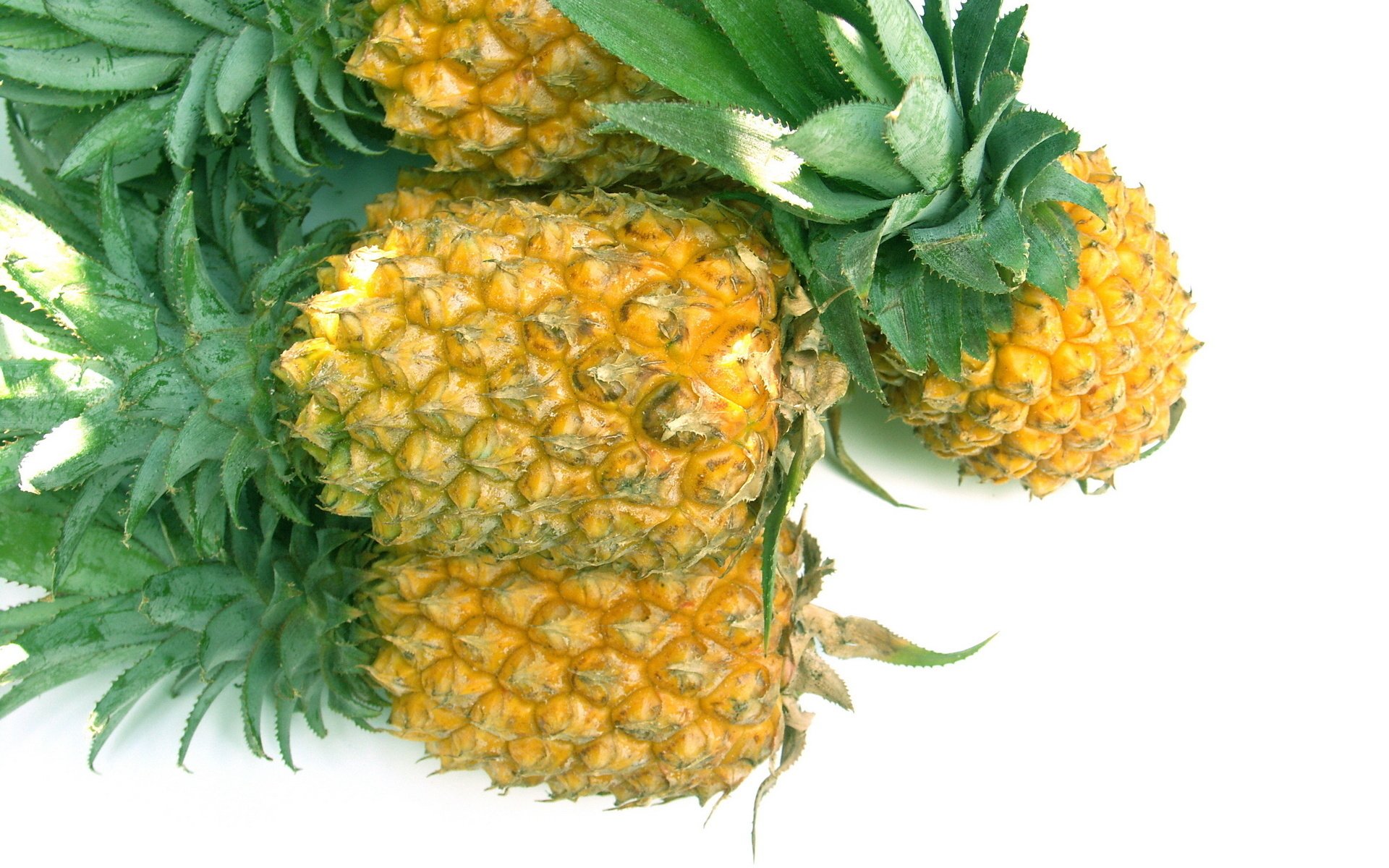 Fruit Computer Background Pineapple HD Wallpaper